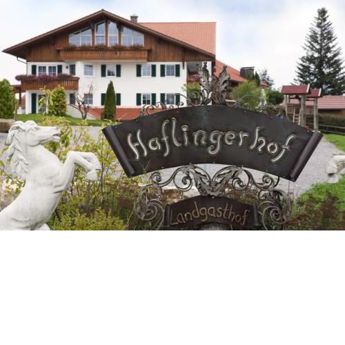 Haflingerhof