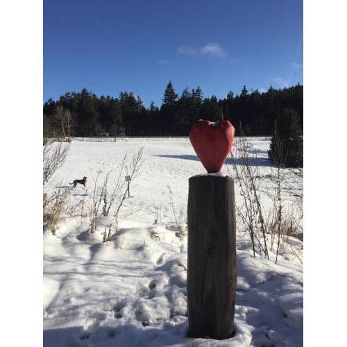 Hahnenklee Ferienpark 136