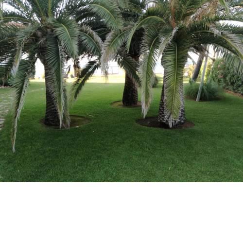 Haizea en Denia