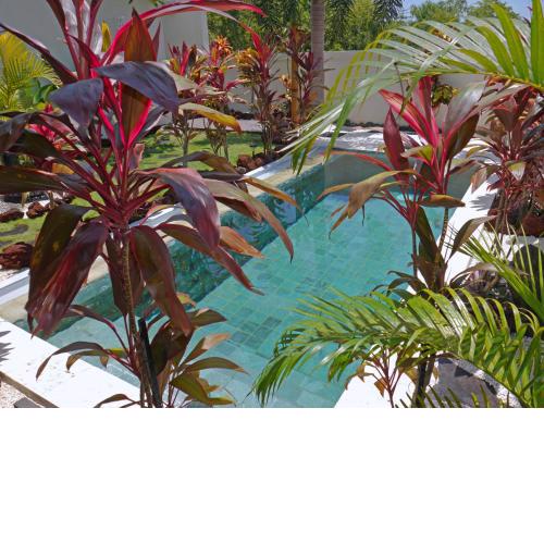 Hakuna Matata Bali Villas