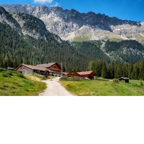 Hämmermoos - Die Alm