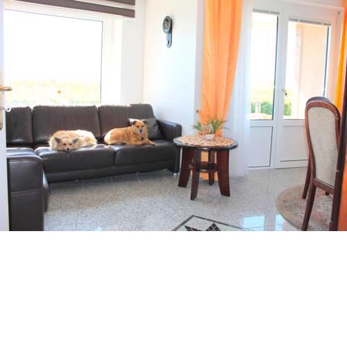 Hanseat I - Whg. 8 - Urlaub mit Hunden - [#26778]