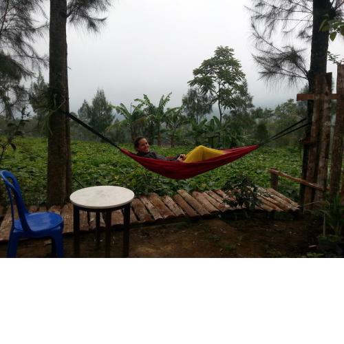Harumi Dieng