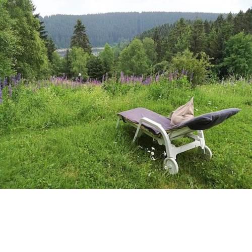 Harz-See-Lodge