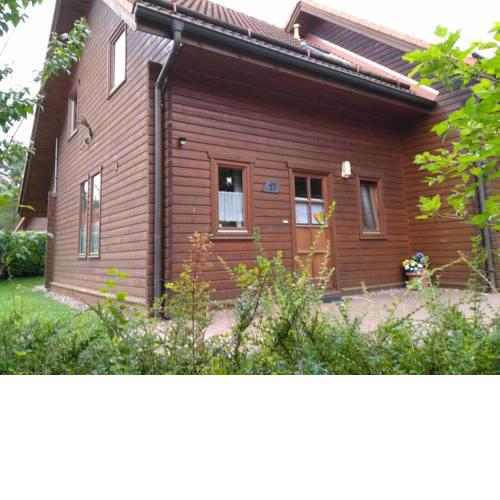 HARZBIENE - Haus 17 - Blauvogel