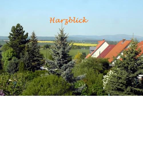 Ferienhaus "Harzblick"