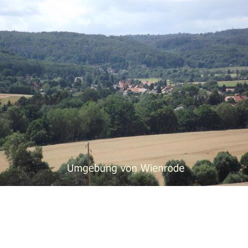 Harzblick