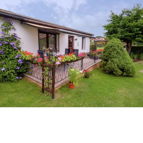 Cozy Holiday Home in Hasselfelde with Private Terrace
