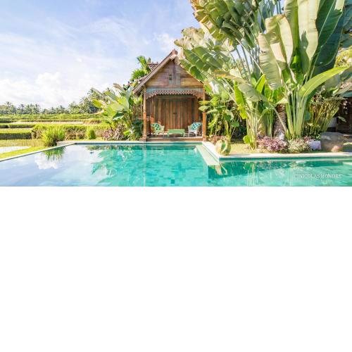 Hati Padi Cottages