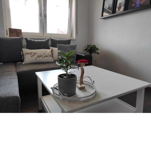 Haus Albi