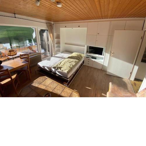 Haus am Sonnenberg,Todtnauberg, Ferienwohnung 205, direkt am Skilift-Skipiste, Nähe Feldberg