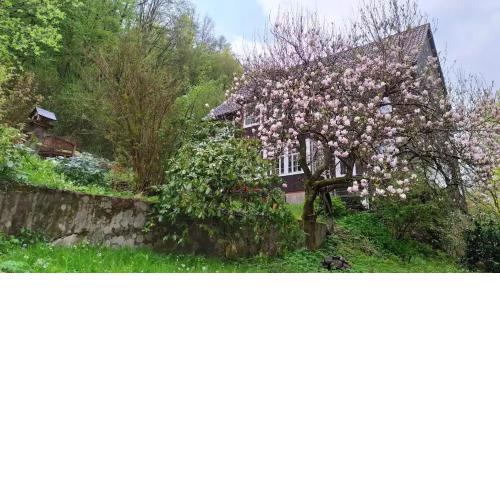 Haus am Wald Zorge 16+ Gäste