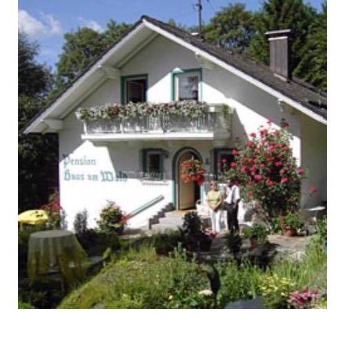Haus am Wald