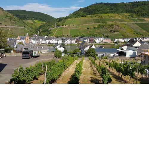 Haus am Weinberg