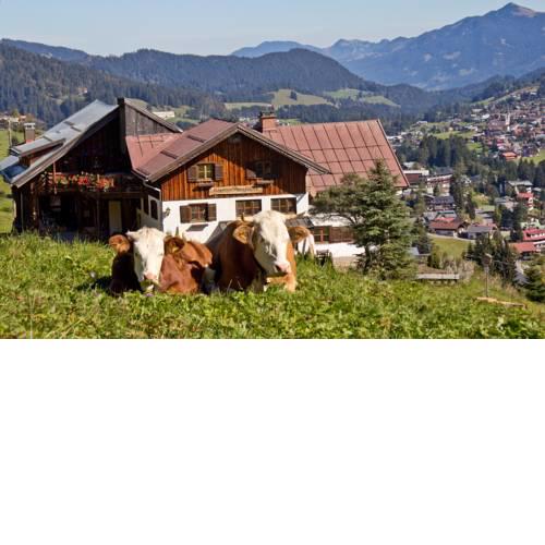 Haus Bergfelder