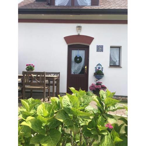 Haus Boy Jensen Wohnung Dünenblick