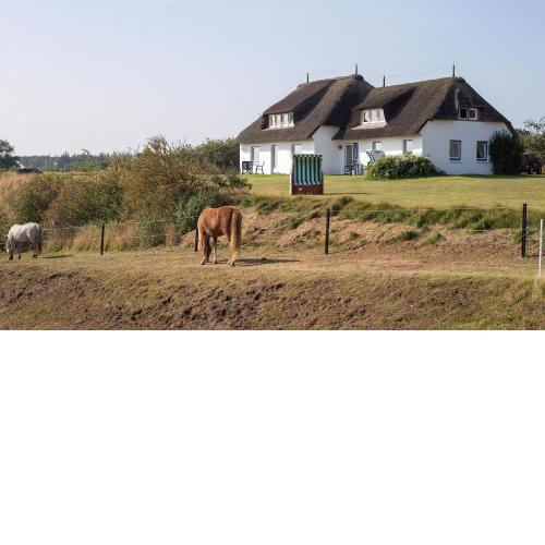 Haus Bräätlun Ferienwohnung Bräätlun 3