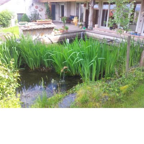Haus Burgblick