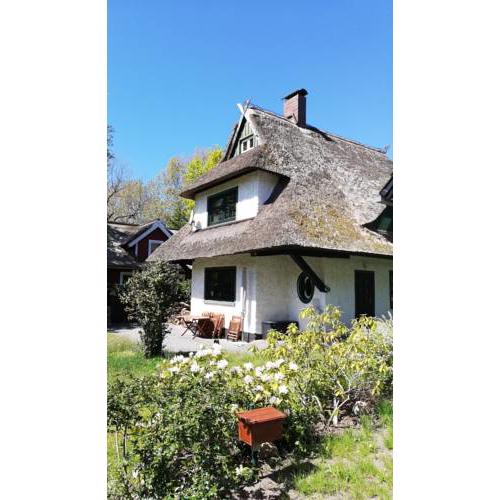 Haus Butzek