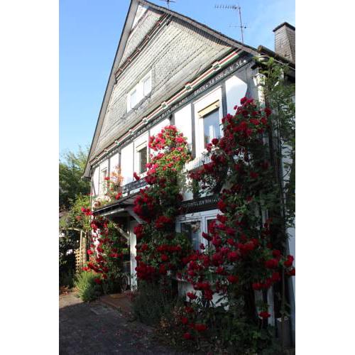 Haus Dornröschen