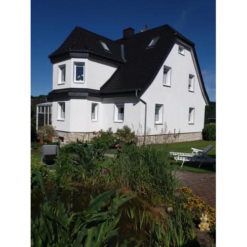 Haus Elsholz Usseln FeWo Birke