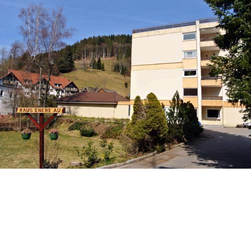 Haus Enere Au Nummer 46 Todtmoos