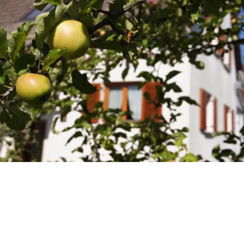 Haus Entspannung
