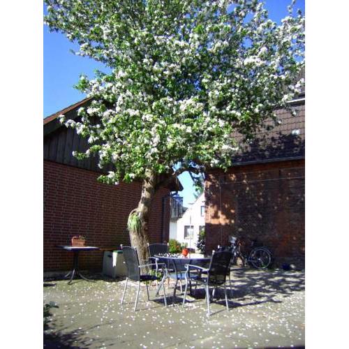 Haus Gezeiten