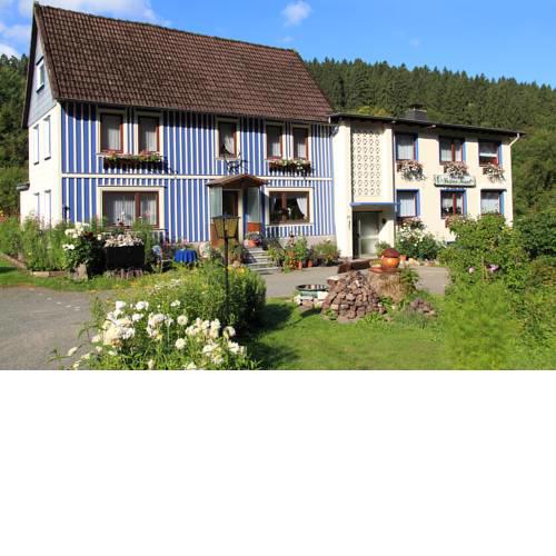 Haus Grüne Insel - Ferienwohnungen