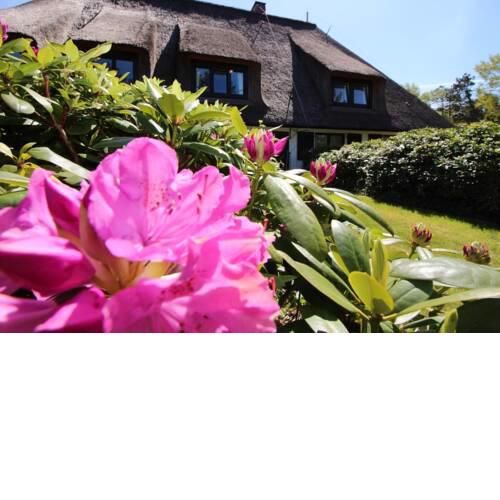 Haus Hallig Oland Whg. 2