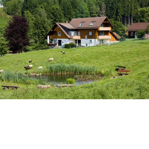 Haus Heidi