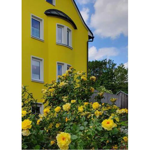 Haus Herzog