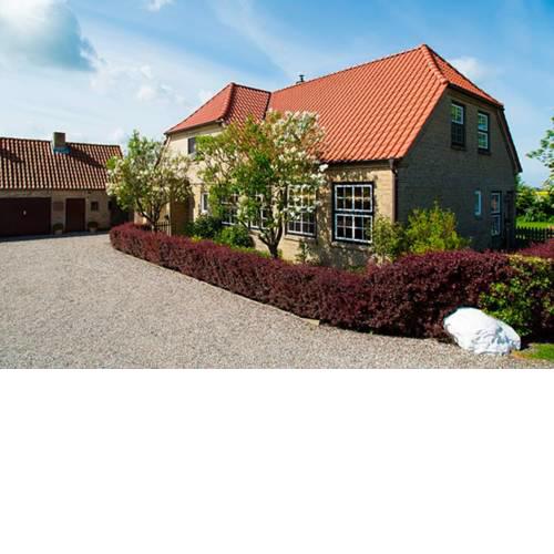 Haus im Felde - Wohnung 3 - [#11029]