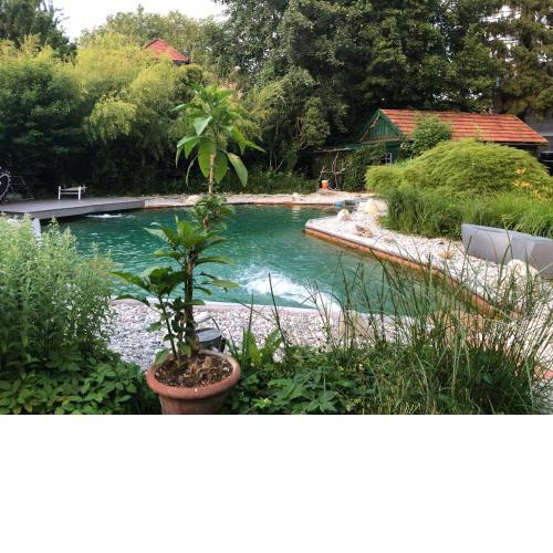 Haus in Anif bei Salzburg mit Sauna und Garten mit Badeteich