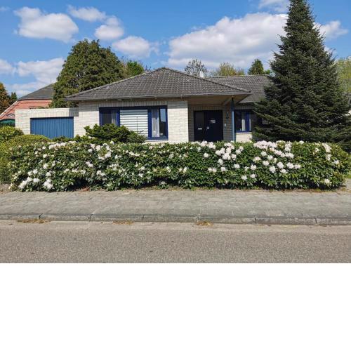 Haus Kenzo 65348