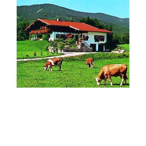 Haus Köberl - Chiemgau Karte