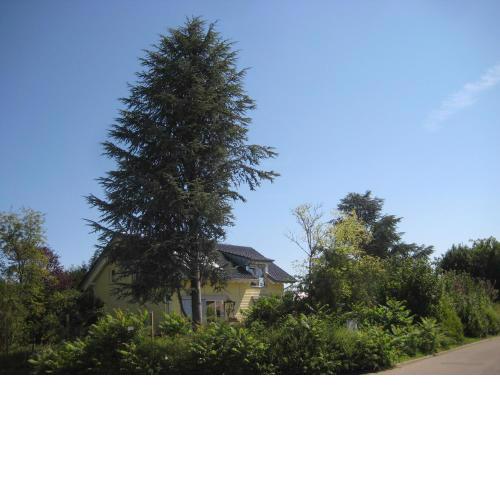 Haus Lärche