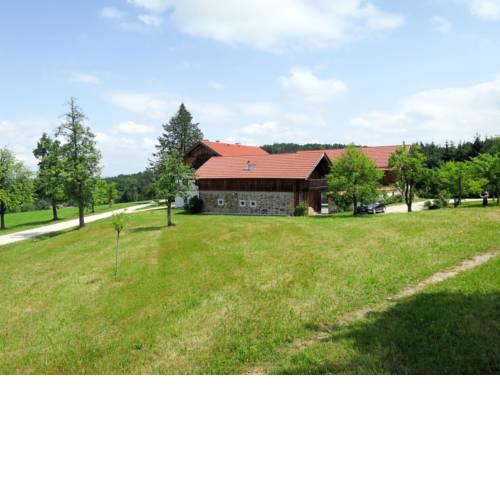 Haus Lehner im Wald 100S