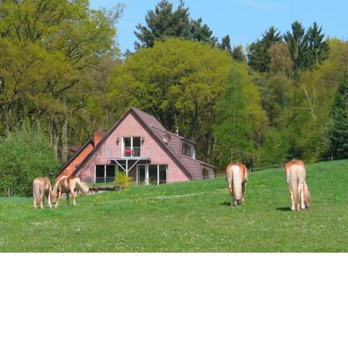 Haus Niedersachsen FeWo 9 - [#29465]