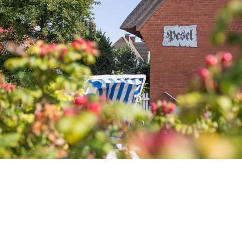 Haus Pesel - Abendsonne