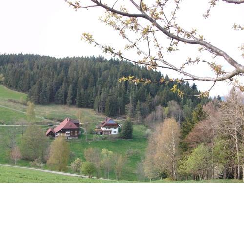 Haus Ruf - Ferienwohnung Gartenblick