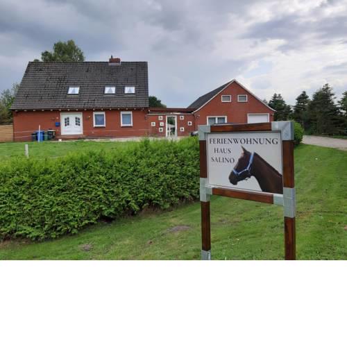Haus Salino