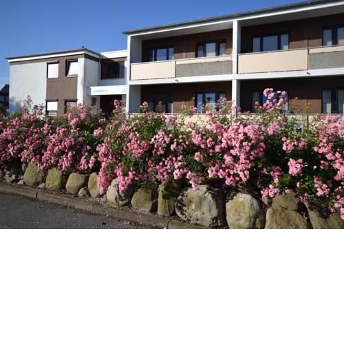 Haus Solaris