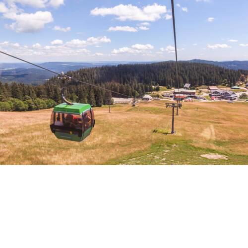 Haus Tanneck - FeWo 2- Feldberg im Schwarzwald - [#a32631]