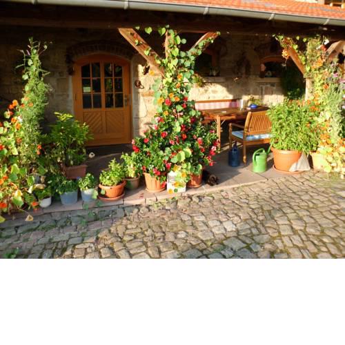 Haus Turmfalke