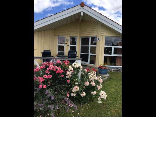 Haus Wackerballig inkl Sauna 100 Meter zum Strand