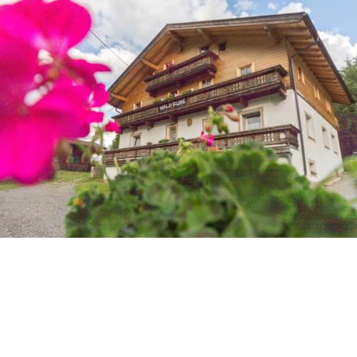 Haus Waldruhe