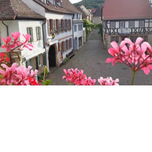 Haus Wasmuth - Ferienwohnung DORFPLATZ