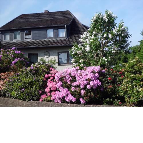 Haus Wiesel