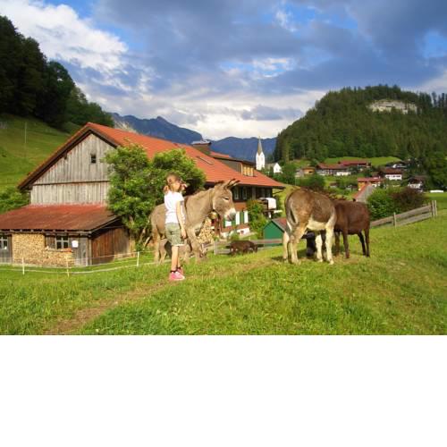 Haus Willi